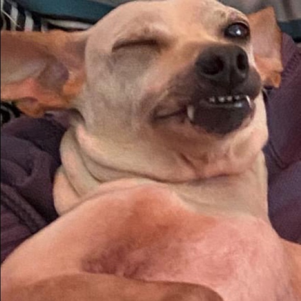 Meet your Posher, Arianna